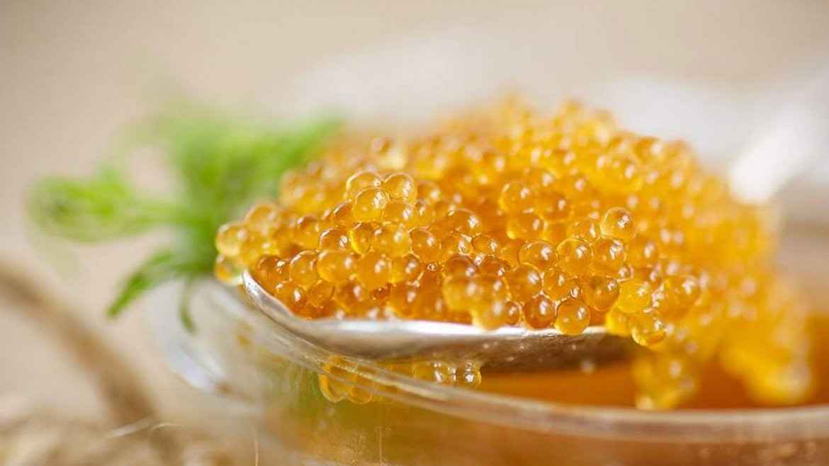 تصویر 4 از خرید خاویار طلایی خزر + قیمت فروش استثنایی